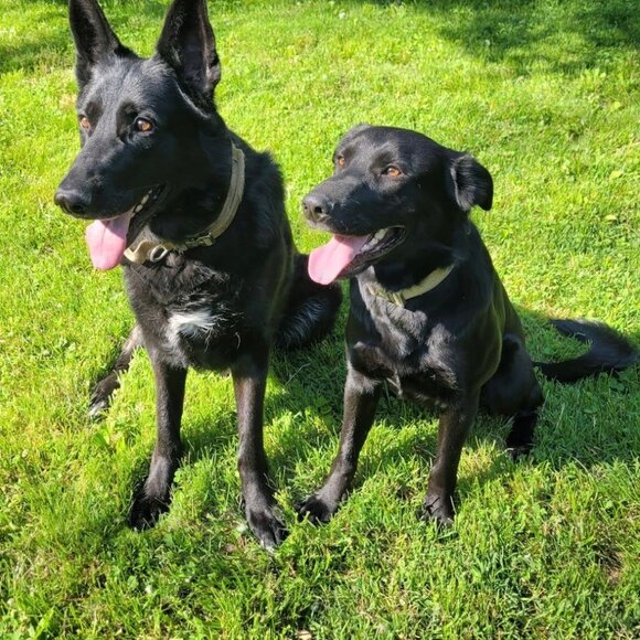 Meet your Posher, Jess - Picture 11 of 14